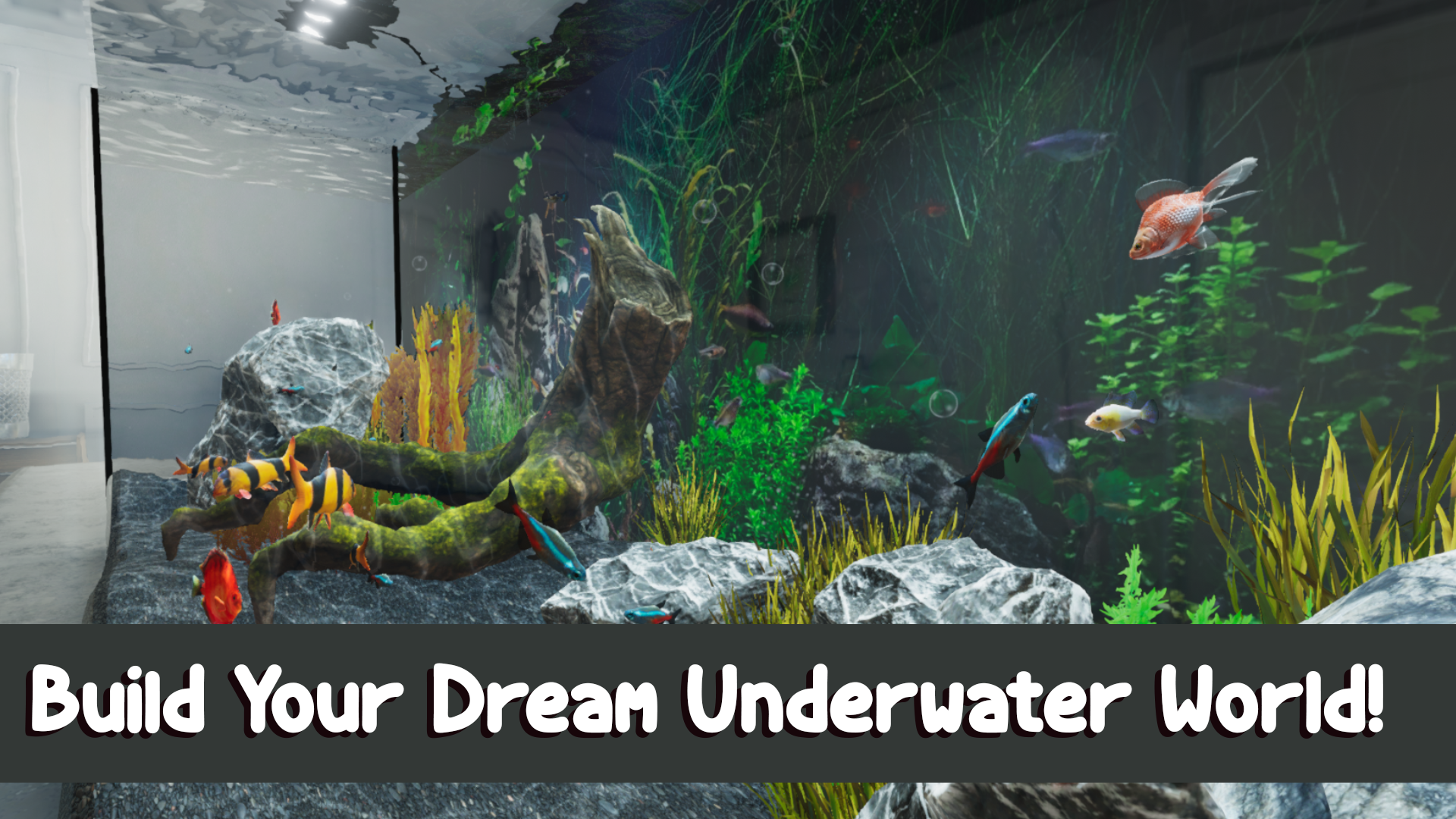 Fish Form: Fish Tank Aquarium